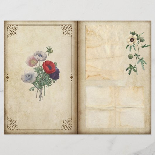 ヴィンテージポピービクトリアンズ植物誌ページ (正面)