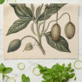 ヴィンテージポピー植物学イラストレーション キッチンタオル (折り畳み)