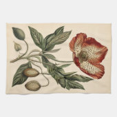 ヴィンテージポピー植物学イラストレーション キッチンタオル (横)