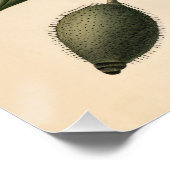 ヴィンテージポピー植物性イラストレーションデコパージュ ポスター (コーナー)