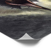 ヴィンテージポマリンジャガーポスタープリント ポスター (角)