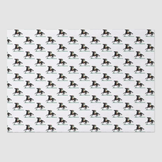 ヴィンテージポロプレーヤーオンポニー 薄葉紙 (正面)