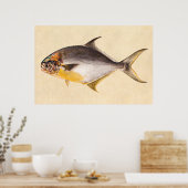 ヴィンテージポンパノフィッシュ – ゲームフィッシュ空白のテンプレート ポスター (キッチン)