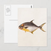 ヴィンテージポンパノフィッシュ – ゲームフィッシュ空白のテンプレート ポストカード (正面/裏面)