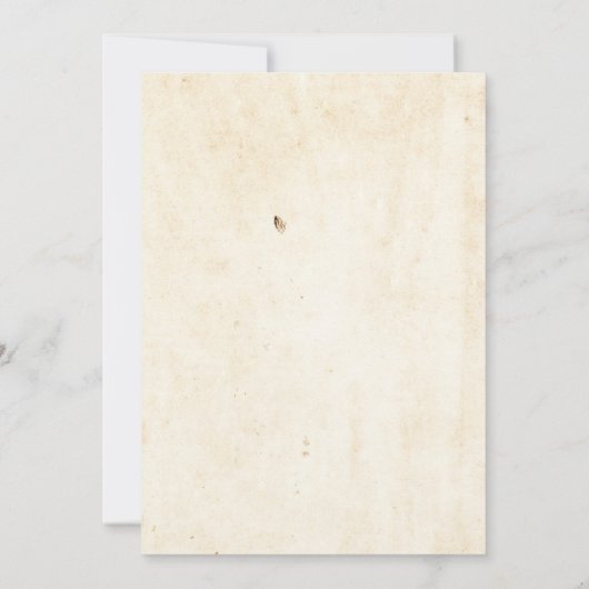 ヴィンテージポーションボトルハロウィーン招待状 招待状 (裏面)