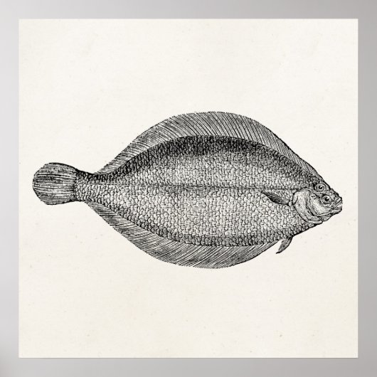 ヴィンテージポールフラウンダーパーソナライズされたテンプレート ポスター (正面)