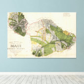 ヴィンテージマウイ島の地図（1906年） キャンバスプリント (インサイチュ (ウッドフロア))