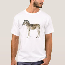 ヴィンテージマウンテンゼブライラストレーション