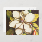 ヴィンテージマグノリアの種付き植物 ポストカード (正面/裏面)