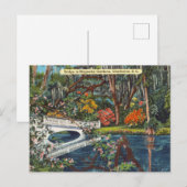 ヴィンテージマグノリアガーデンズチャールストンサウスカロライナ ポストカード (正面/裏面)