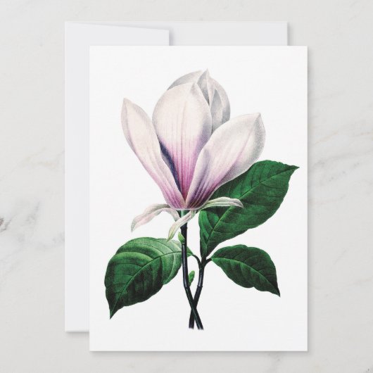 ヴィンテージマグノリアフローラ結婚式招待状 招待状 (裏面)