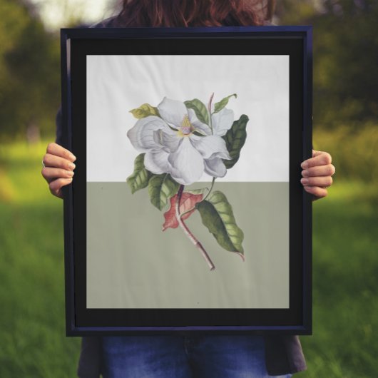 ヴィンテージマグノリアブロッサムカラーブロック ポスター