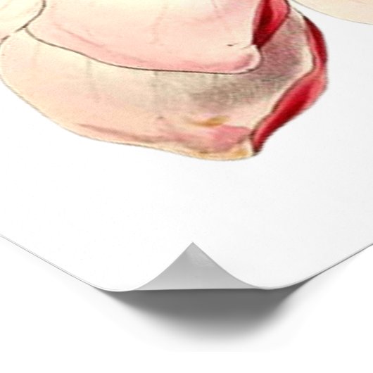 ヴィンテージマグノリア絵画ズバイブリティッシュ・ボタニスト ポスター (角)