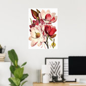 ヴィンテージマグノリア絵画ズバイブリティッシュ・ボタニスト ポスター (ホームオフィス)