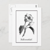 ヴィンテージマグノリア花エッチングカード ポストカード (正面/裏面)