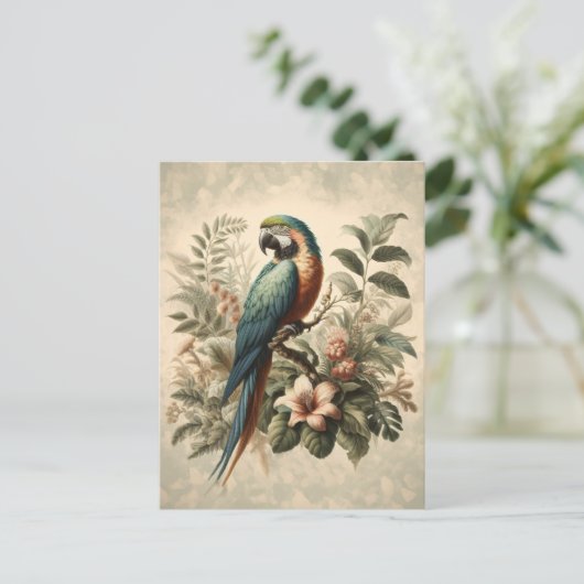 ヴィンテージマコーボタニッ絵画クス ポストカード (スタンド正面)