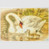 ヴィンテージマザースワンベビーシグネットウォーターカラールック 薄葉紙 (正面)