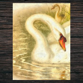 ヴィンテージマザースワンベビーシグネットウォーターカラールック 薄葉紙