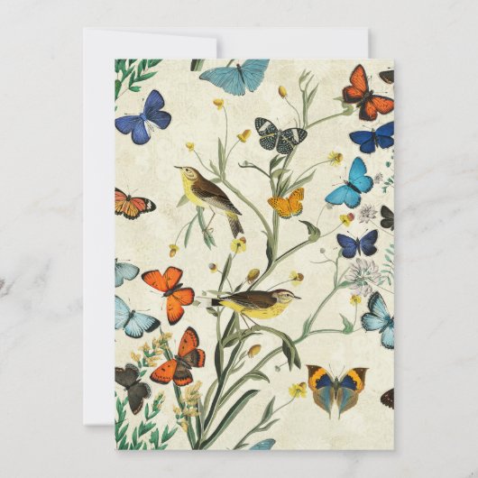 ヴィンテージマザーズデイ蝶鳥招待状 招待状 (裏面)