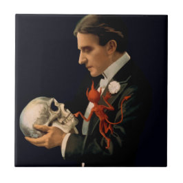 ヴィンテージマジシャン、サーストンホールディングアヒトスカル タイル