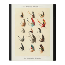 ヴィンテージマス羽 メタルプリント