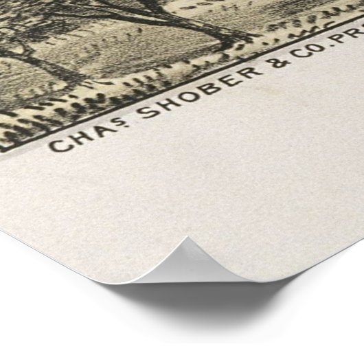 ヴィンテージマッキニー・テキサス州の絵画地図(1876) ポスター (角)