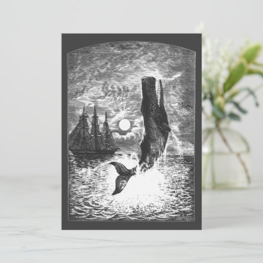 ヴィンテージマッコウクジラの漂白、海洋生物 (スタンド正面)