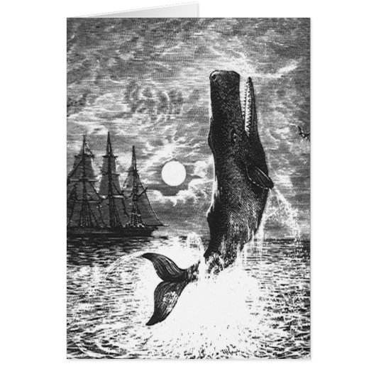 ヴィンテージマッコウクジラの漂白、海洋生物 (正面)