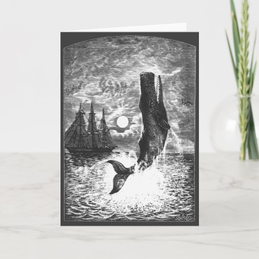 ヴィンテージマッコウクジラの漂白、海洋生物 カード (正面)