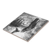 ヴィンテージマッコウクジラの漂白、海洋生物 タイル (側面)