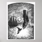 ヴィンテージマッコウクジラの漂白、海洋生物 ポスター (正面)