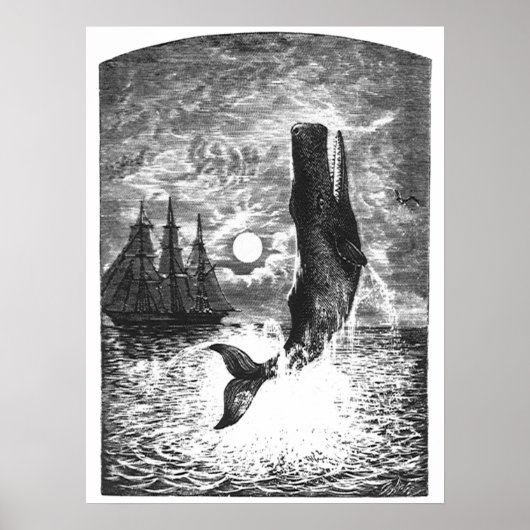 ヴィンテージマッコウクジラの漂白、海洋生物 ポスター (正面)