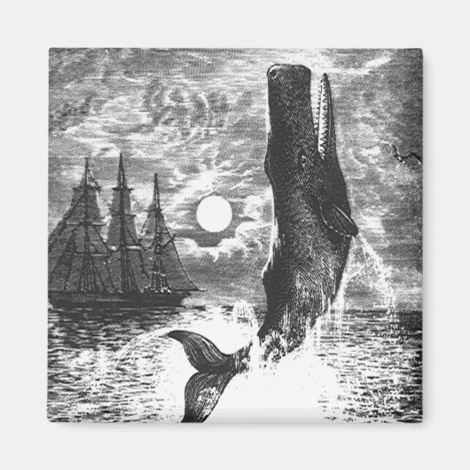 ヴィンテージマッコウクジラの漂白、海洋生物 マグネット (正面)