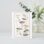 ヴィンテージマッシュルームオブザビーチウッズイラストレーション ポストカード (スタンド正面)