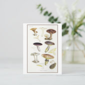ヴィンテージマッシュルームオブザモールウッズイラストレーション ポストカード (スタンド正面)