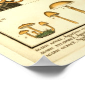 ヴィンテージマッシュルームオレンジブルーフランスのアートプリント ポスター (角)