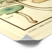 ヴィンテージマッシュルームグリーンイエローフランスのアートプリント ポスター (角)