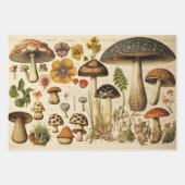 ヴィンテージマッシュルームコテージコア ラッピングペーパーシート (正面)