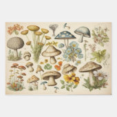 ヴィンテージマッシュルームコテージコア ラッピングペーパーシート (正面2)