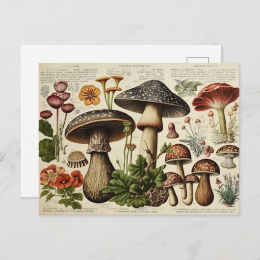 ヴィンテージマッシュルームコテージデクページ ポストカード (正面/裏面)