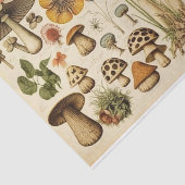 ヴィンテージマッシュルームコテージデクページ 薄葉紙 (詳細)