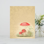 ヴィンテージマッシュルームスクラップブック紙マルプルホール (スタンド正面)