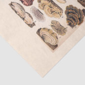 ヴィンテージマッシュルームバイアドルフミロ 薄葉紙 (詳細)