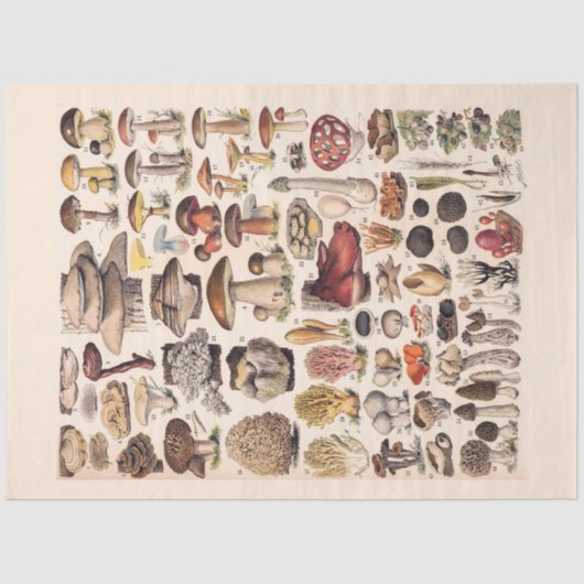 ヴィンテージマッシュルームバイアドルフミロ 薄葉紙 (正面)