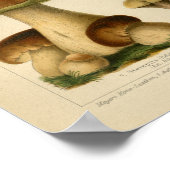 ヴィンテージマッシュルームピルズバラエティイエローブラウンプリント ポスター (角)