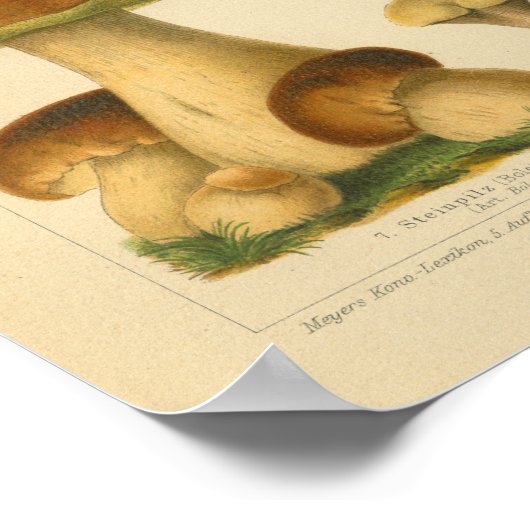 ヴィンテージマッシュルームピルズバラエティイエローブラウンプリント ポスター (角)