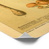 ヴィンテージマッシュルームピルズバラエティトestoolsプリント ポスター (角)