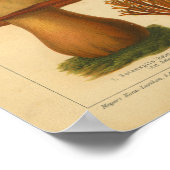 ヴィンテージマッシュルームピルズバラエティレッドグリーンプリント ポスター (角)