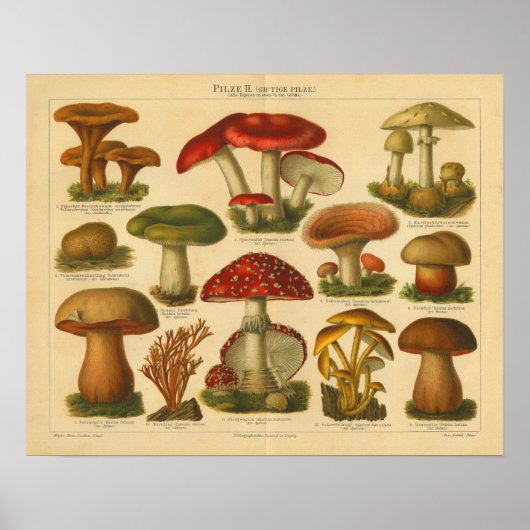 ヴィンテージマッシュルームピルズバラエティレッドグリーンプリント ポスター (正面)