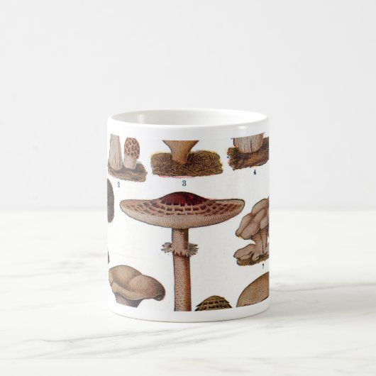 ヴィンテージマッシュルームファミリー植物プリント コーヒーマグカップ (中央)